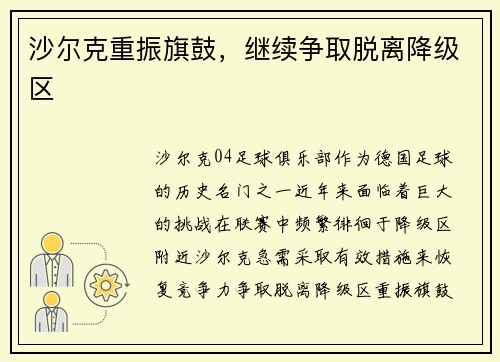 沙尔克重振旗鼓，继续争取脱离降级区